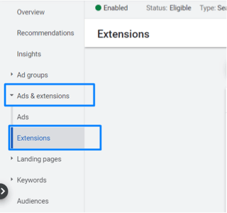 Seccion Extensiones Google Ads
